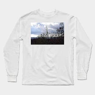 clouds and trees Long Sleeve T-Shirt